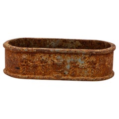 Small Cast Iron Oval Planter, France Early 20th C.