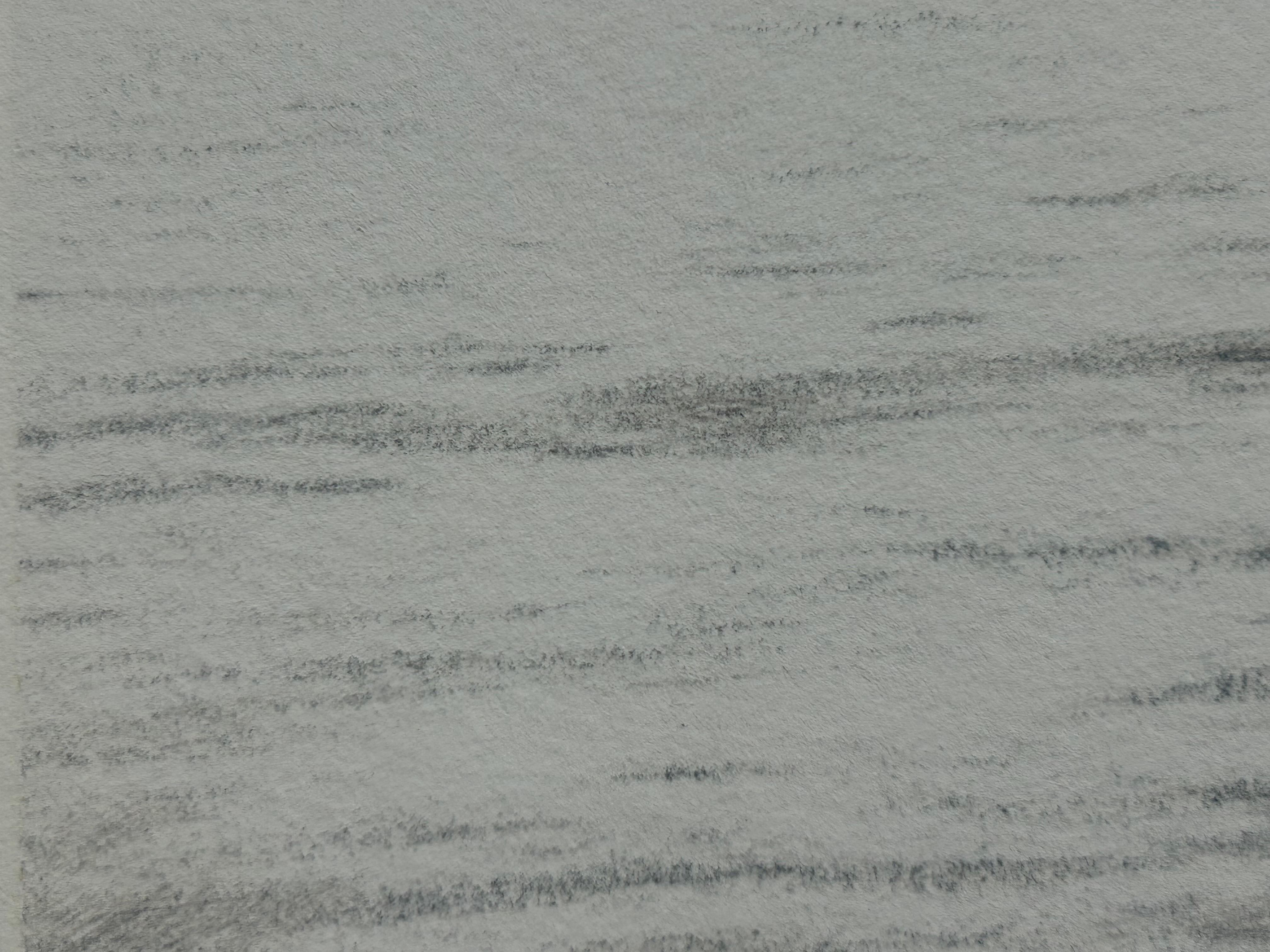 Kleine Holzkohlezeichnung von Wellen (Blei) im Angebot