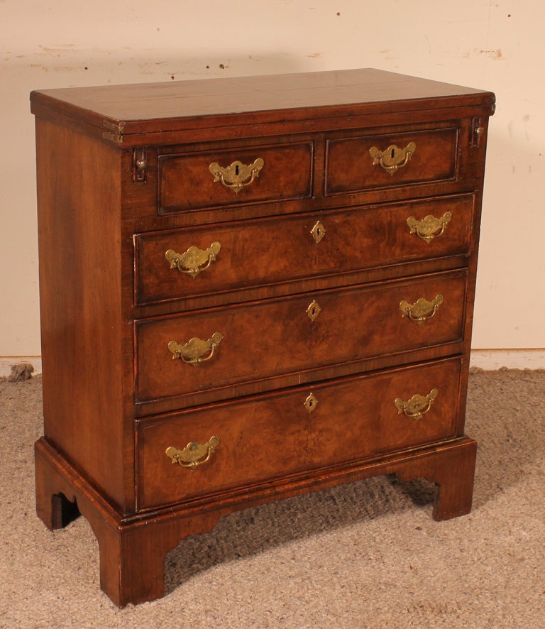 Small Chest of Drawers in Walnut Called Bachelor Chest from the 19th