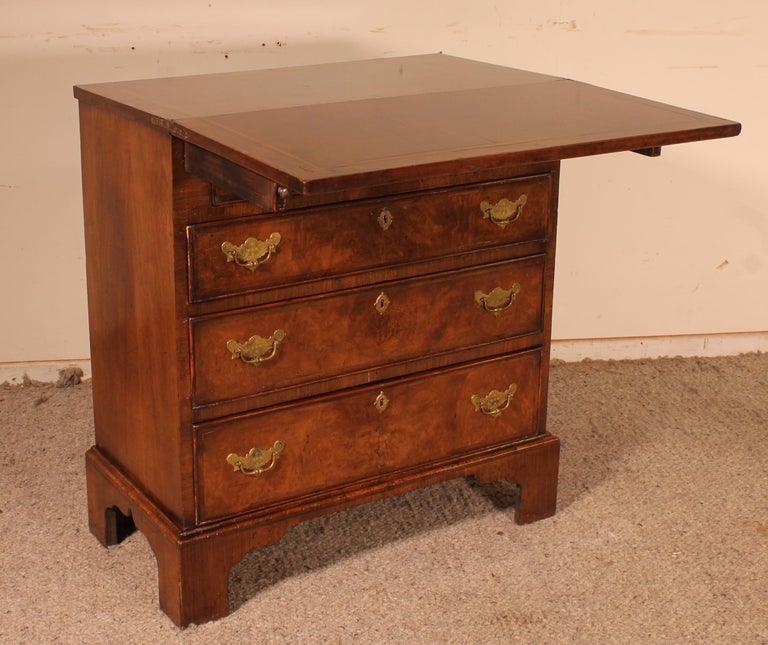 Small Chest of Drawers in Walnut Called Bachelor Chest from the 19th