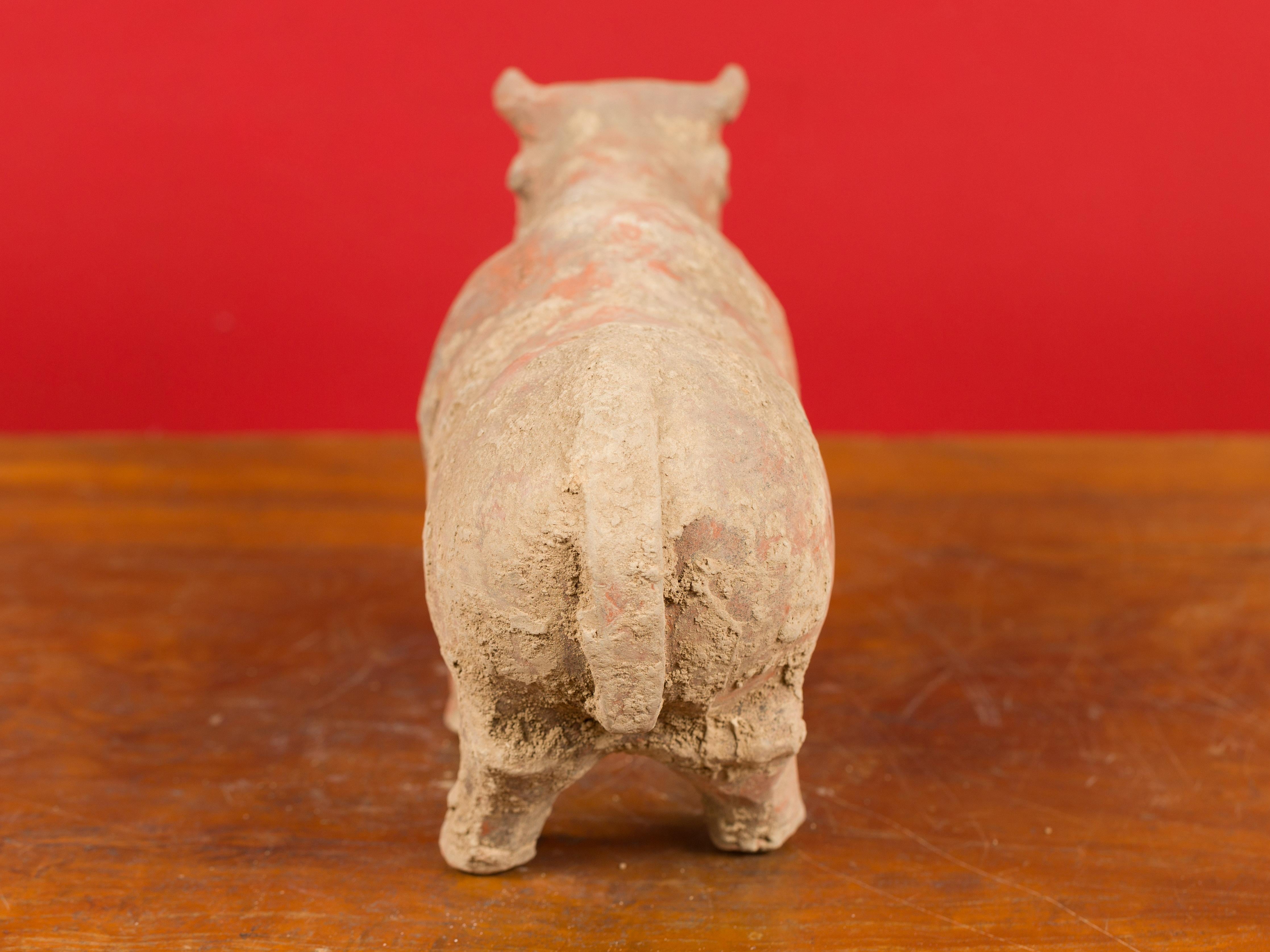 Small Chinese Han Dynasty Terracotta Bull Mingqi, circa 202 BC-200 AD 3