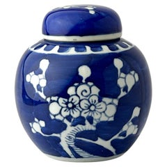 Small Chinese Kangxi Style Blue and White Underglaze 'Prunus' Ginger Jar