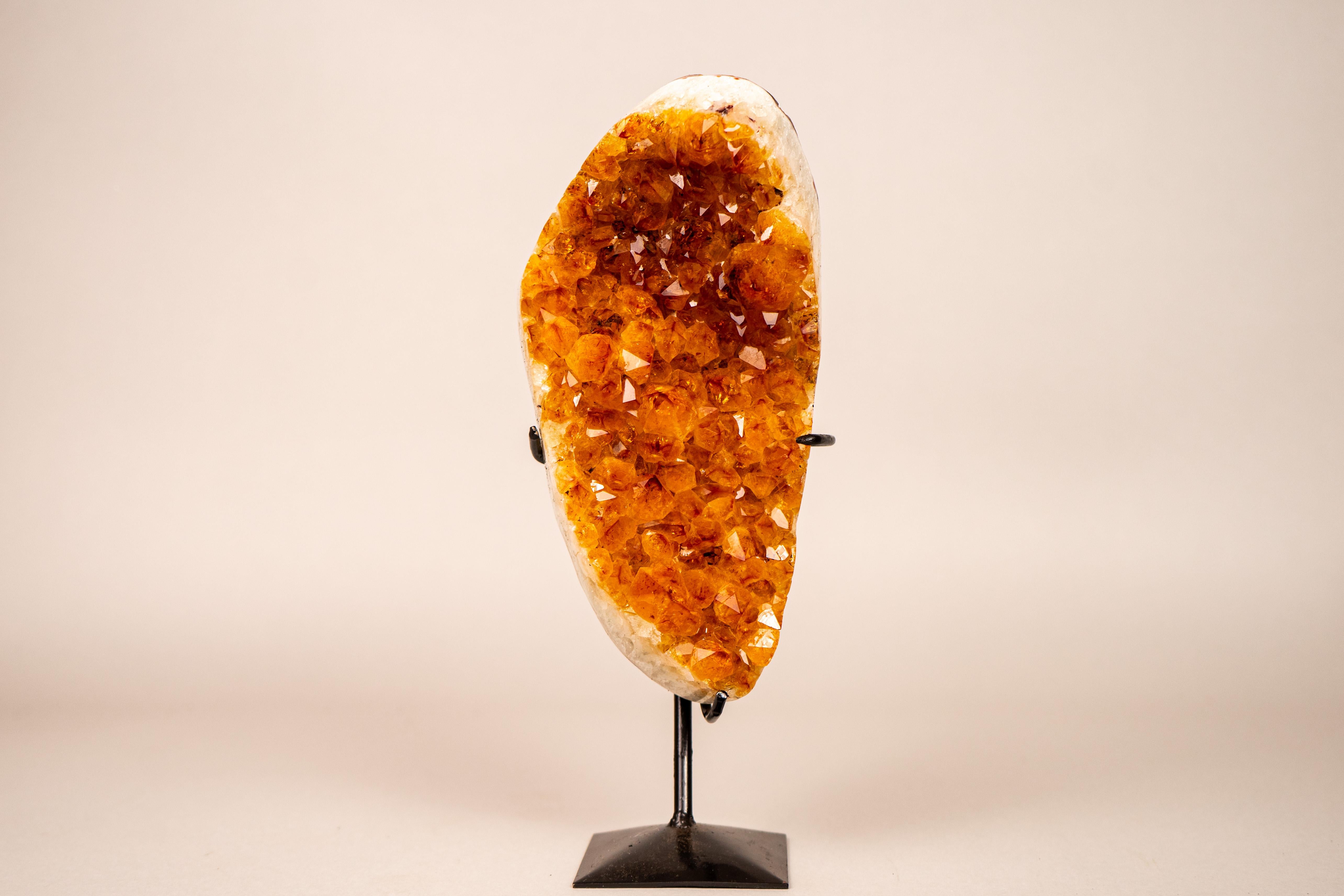 A perfect citrine that radiates warm, golden energy, exceptional quality and gorgeous aesthetics

▫️ Description

An impressive citrine cluster, this specimen captures attention at first sight. Its formation combine shiny, golden-orange citrine