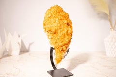 Small Citrine Cluster with Golden Yellow Citrine Druzy