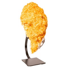 Citrin-Cluster mit goldenem, gelbem und gelbem Citrin- Druzy