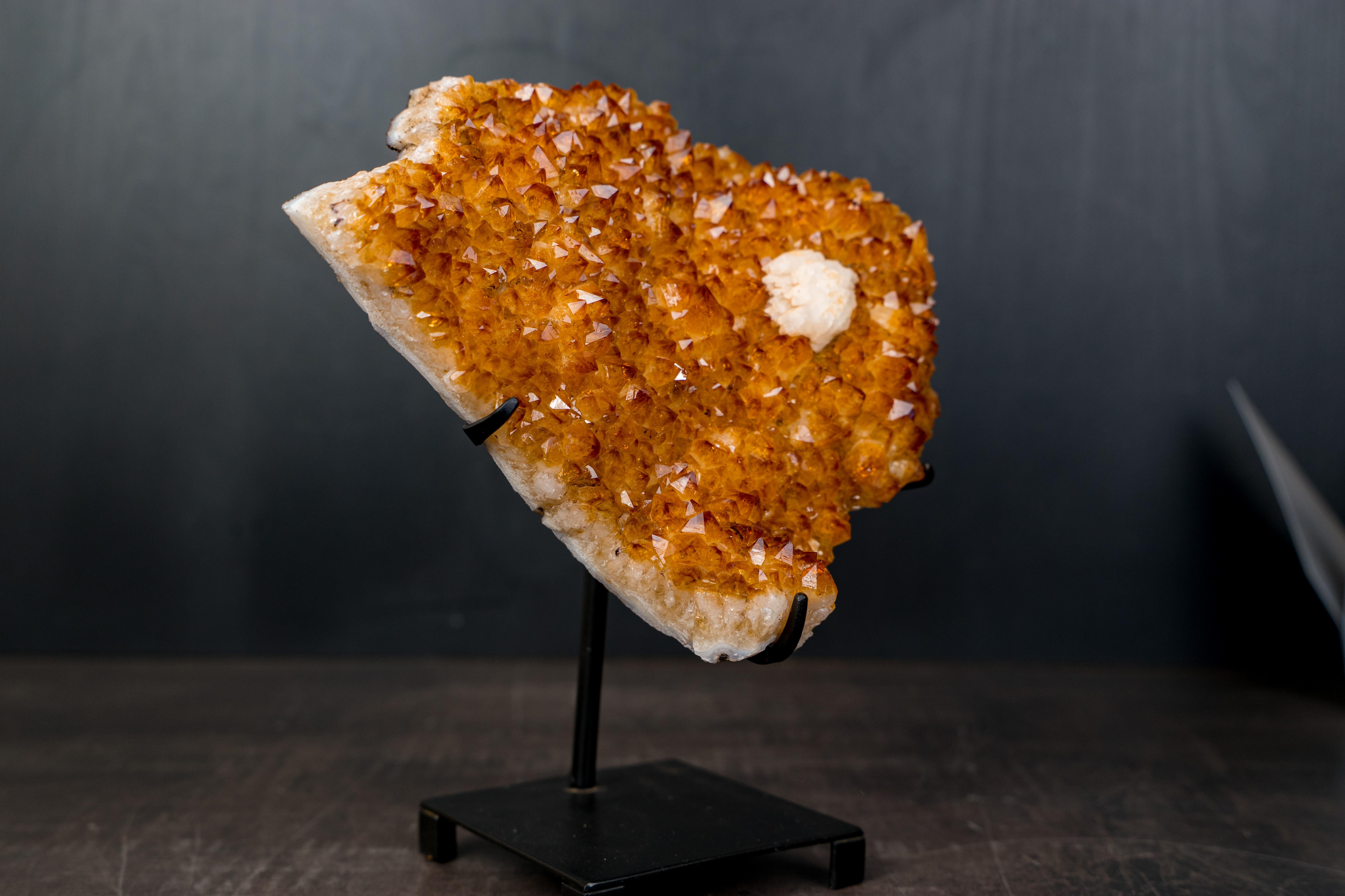 A stunning natural citrine that radiates warm golden energy, high quality, and beautiful aesthetics.

▫️ Description

Small in size yet gorgeous, this citrine cluster captures attention at first sight. Its bright, golden-orange druzy and balanced