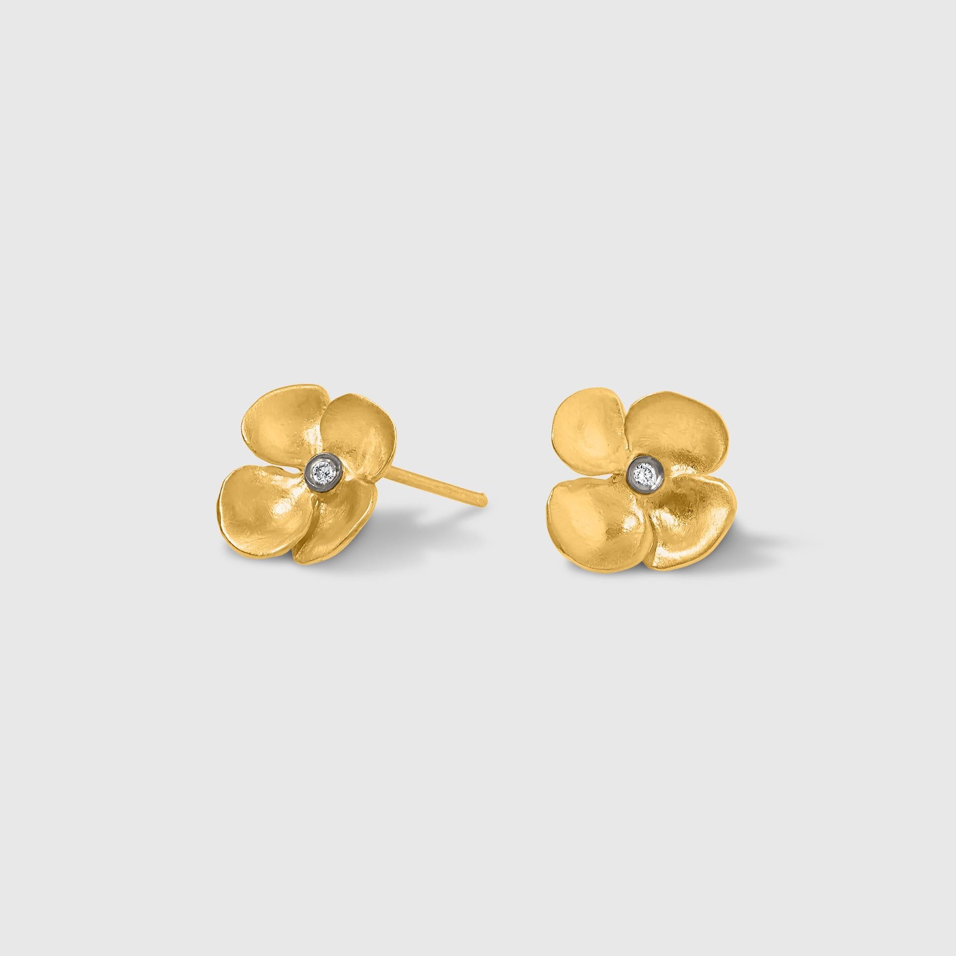24k gold earrings surfside