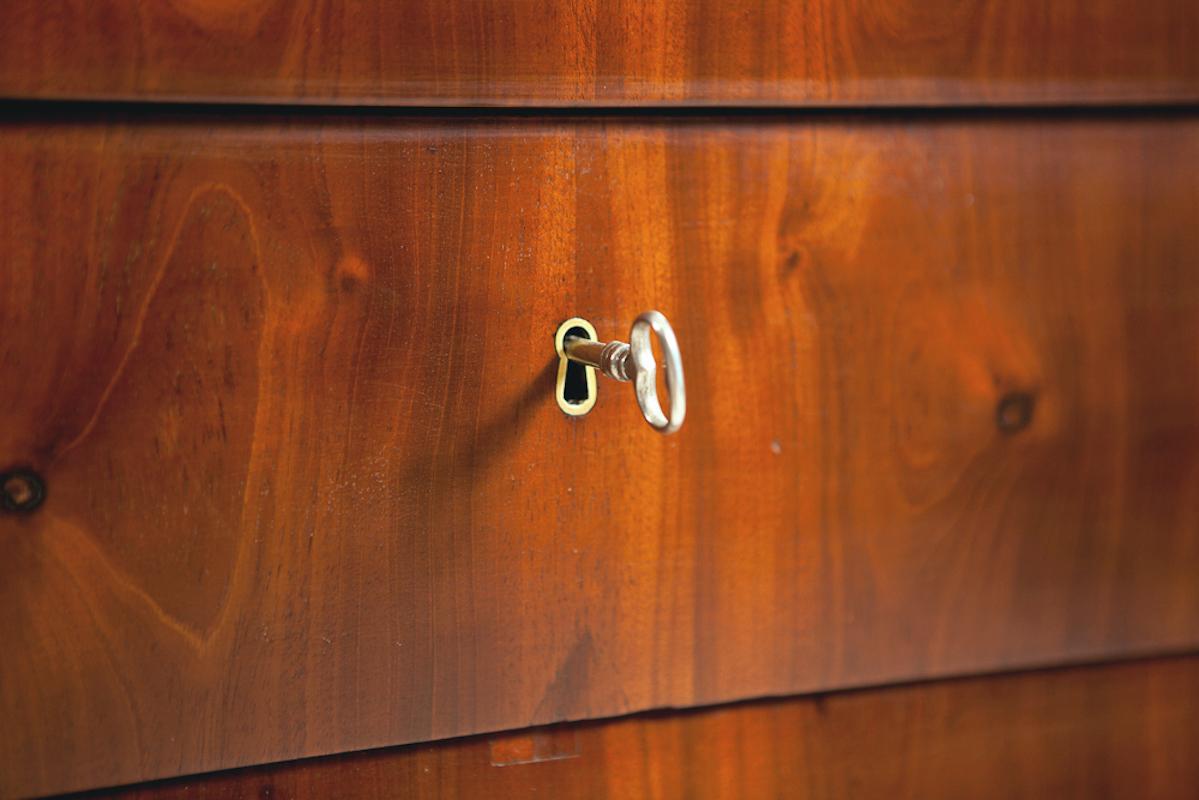 Small Empire Chest of Drawers in Cuban Mahogany, Denmark, circa 1810 For Sale 2