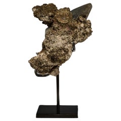 Small “Dragon Scale” Quartz with Goethite on Matrix