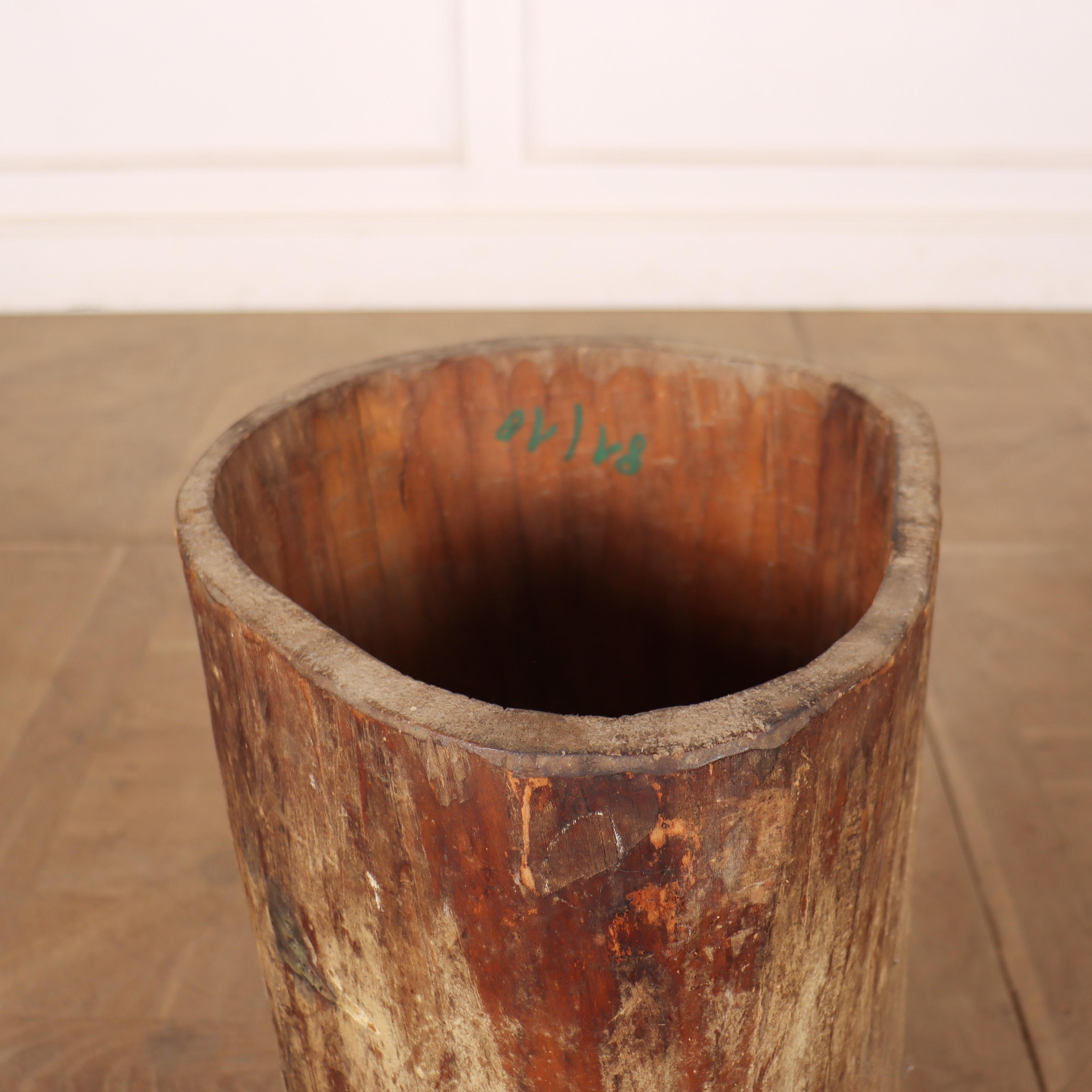 European Small Dug Out Tree Trunk For Sale