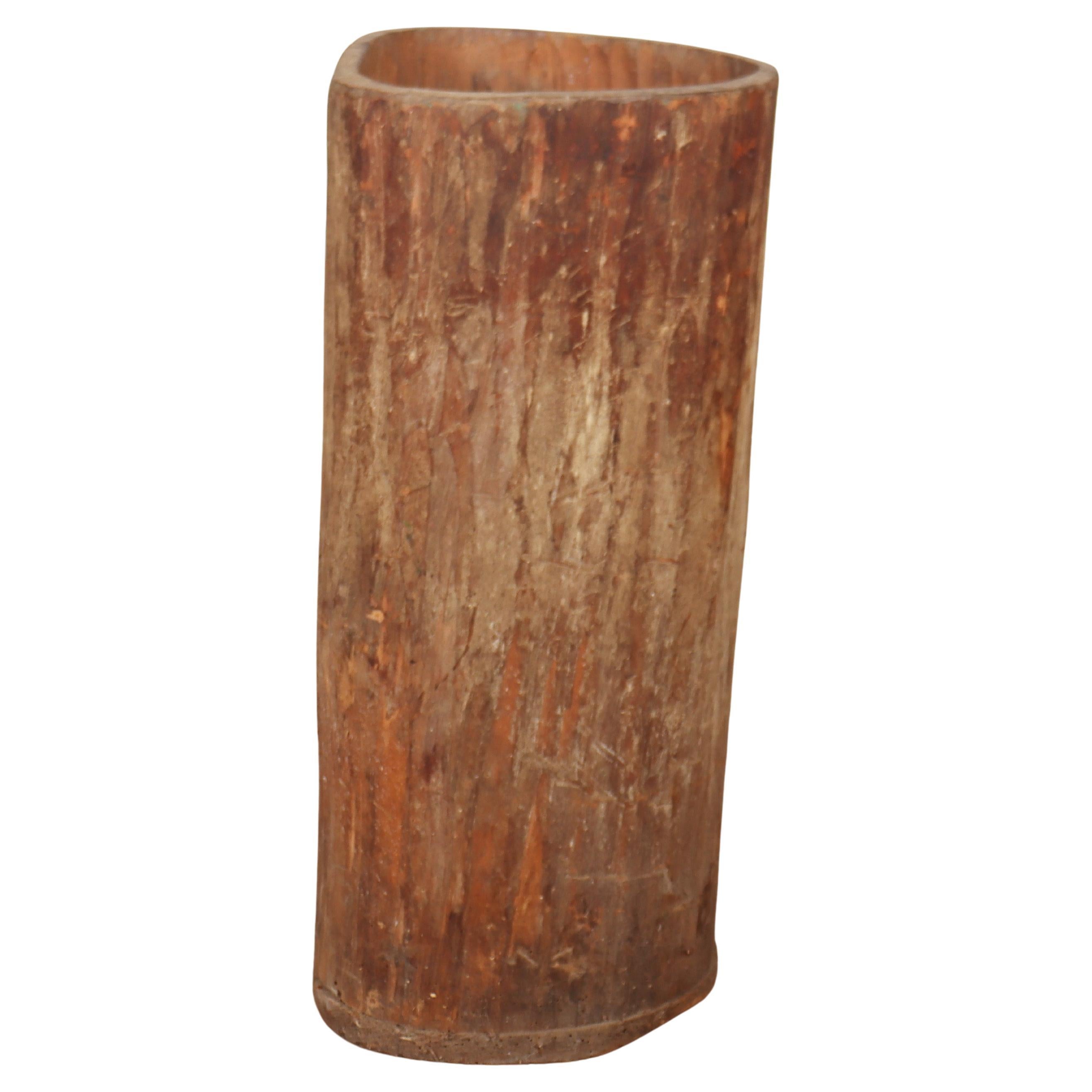 Pequeño tronco de árbol excavado