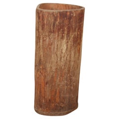 Pequeño tronco de árbol excavado