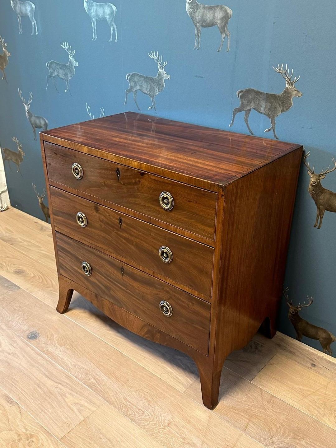 Small early 19th Century Chest of Drawers For Sale 6