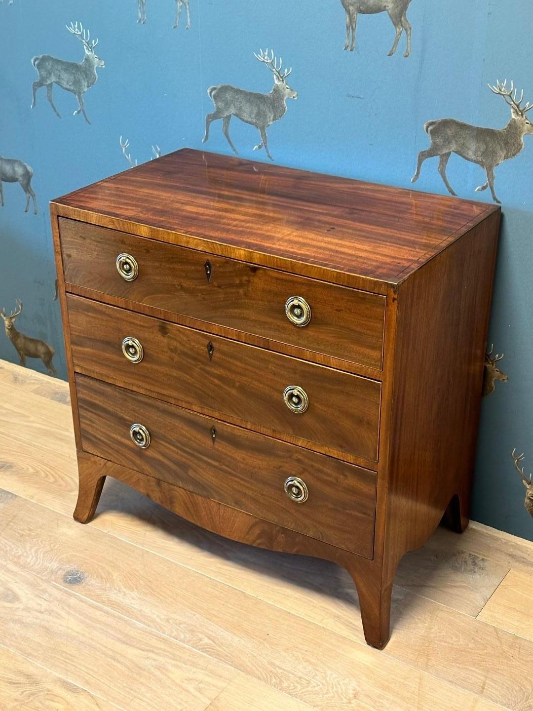 British Small early 19th Century Chest of Drawers For Sale