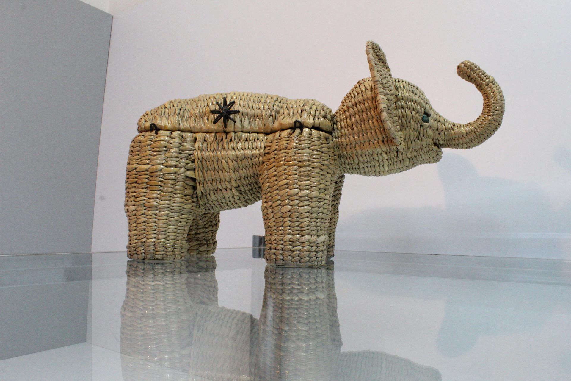 Mexican Small Elephant Trunk by Mario Lopez Torres