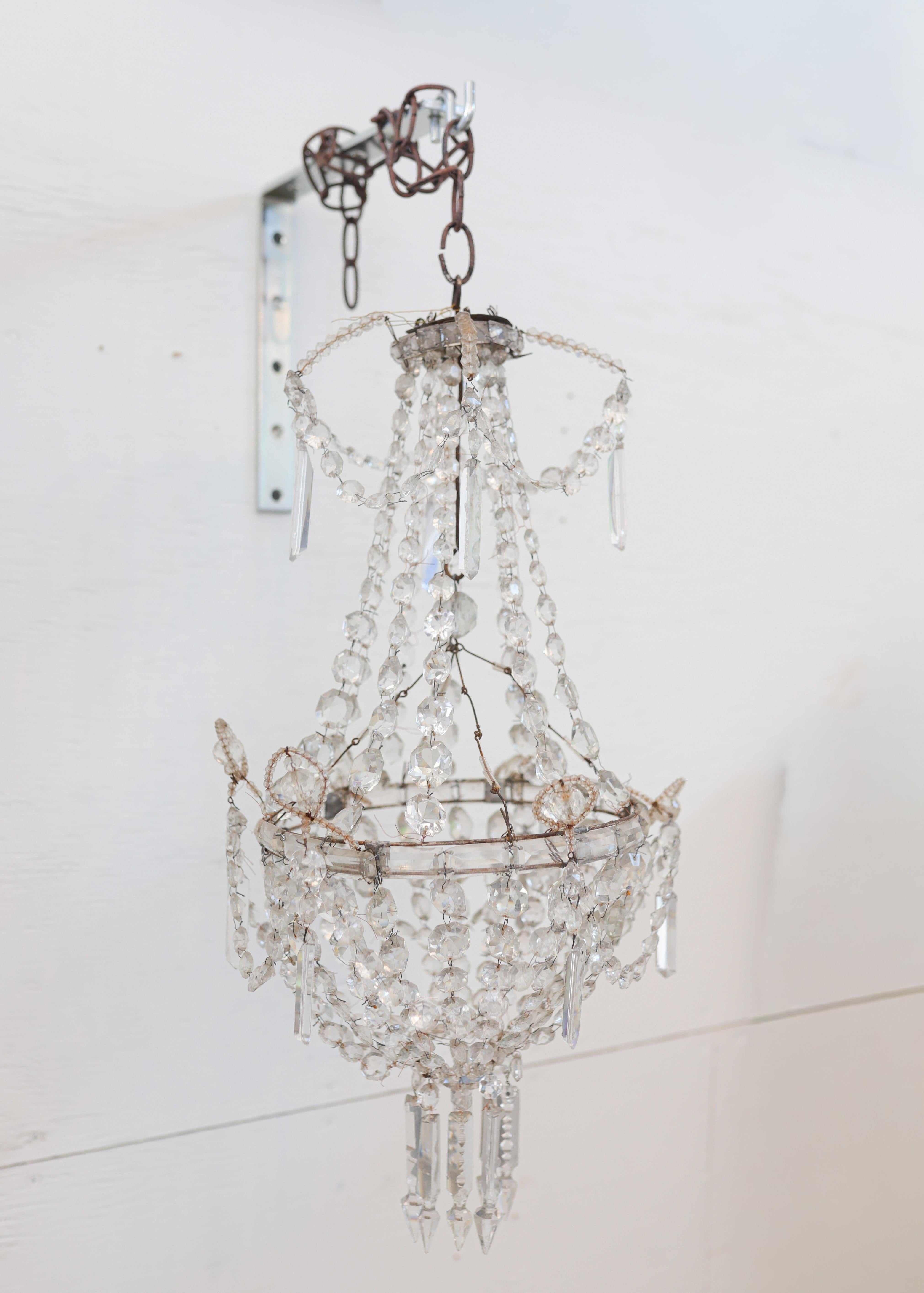 Una encantadora araña francesa de 