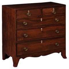 Small English 19th Century Bachelors Chest with 5 Drawers and Splayed Feet