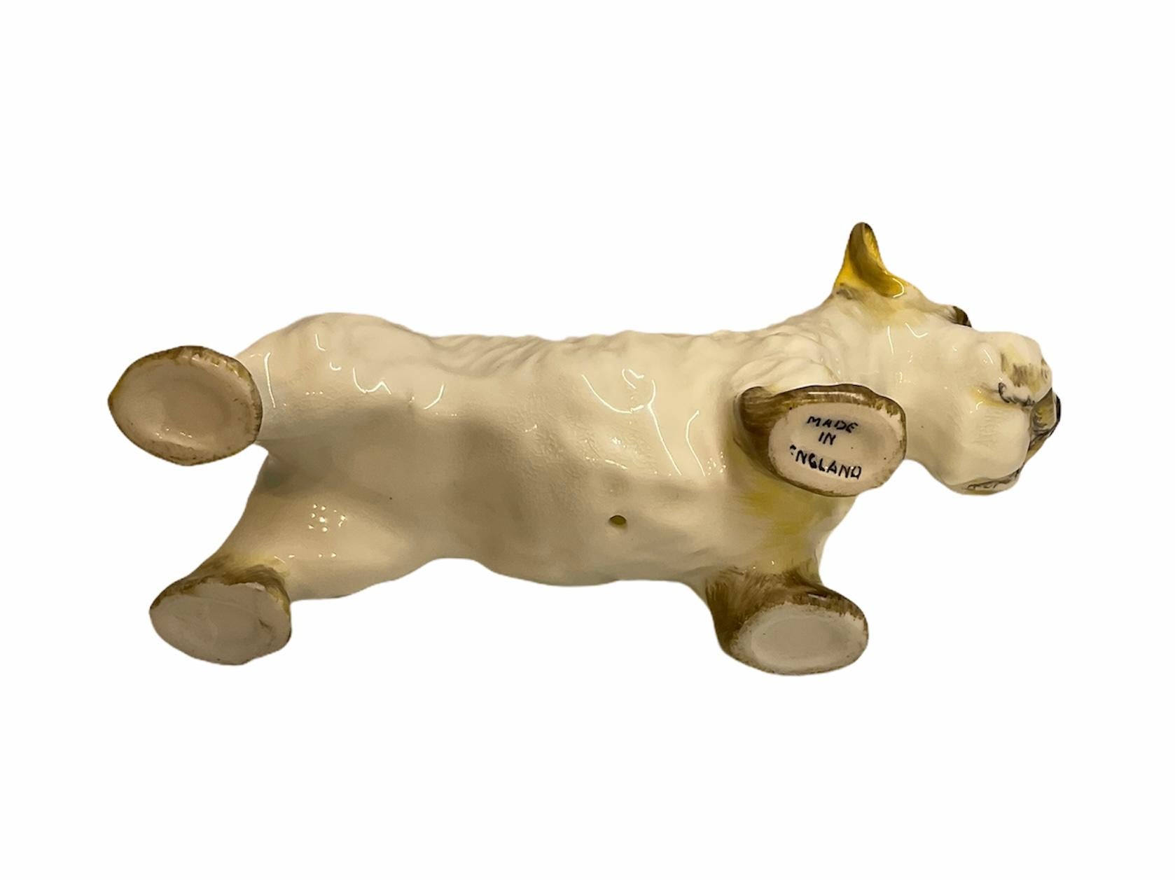cane di porcellana
