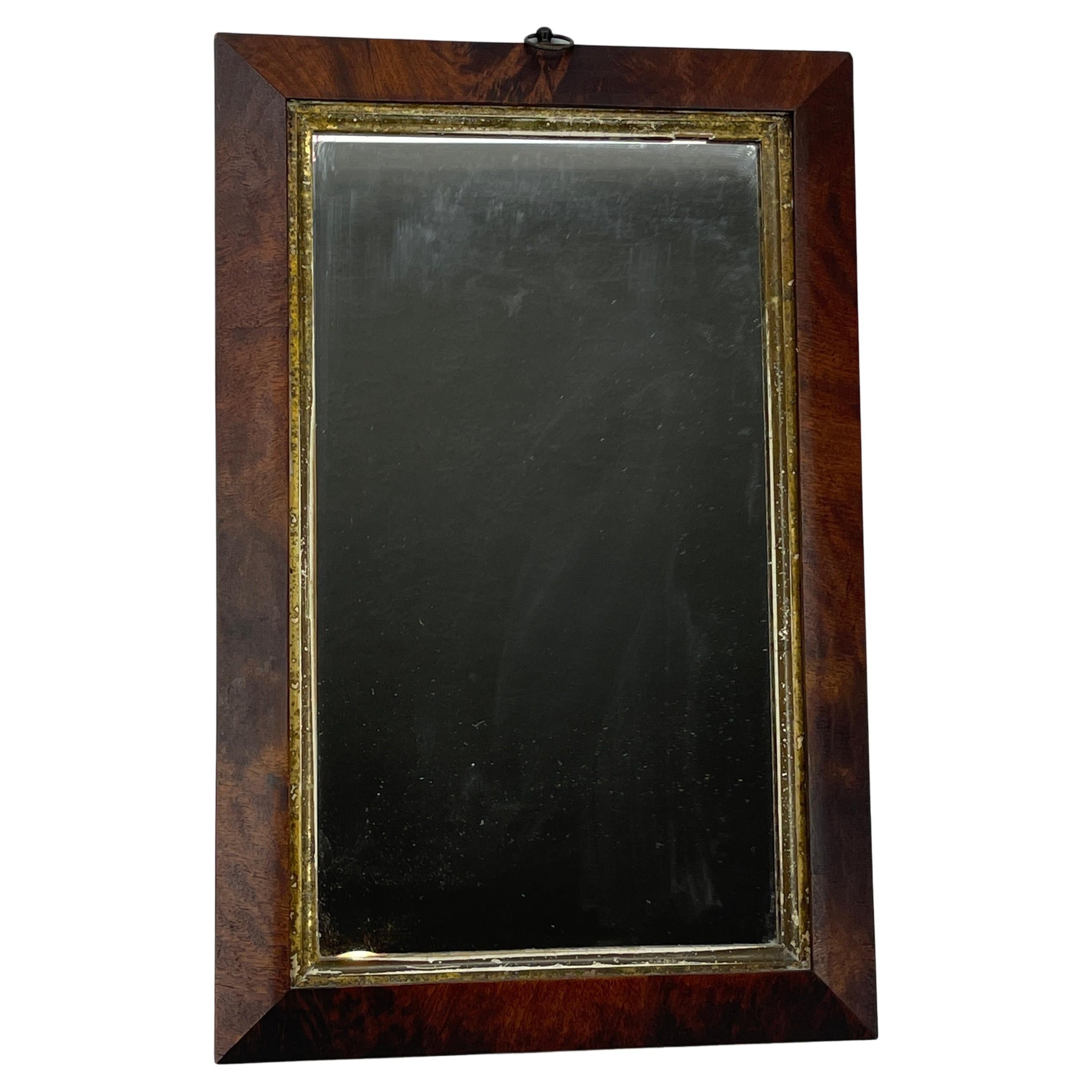 19th Century Small English Rectangular Mahogany and Gilt Wall Mirror For Sale
