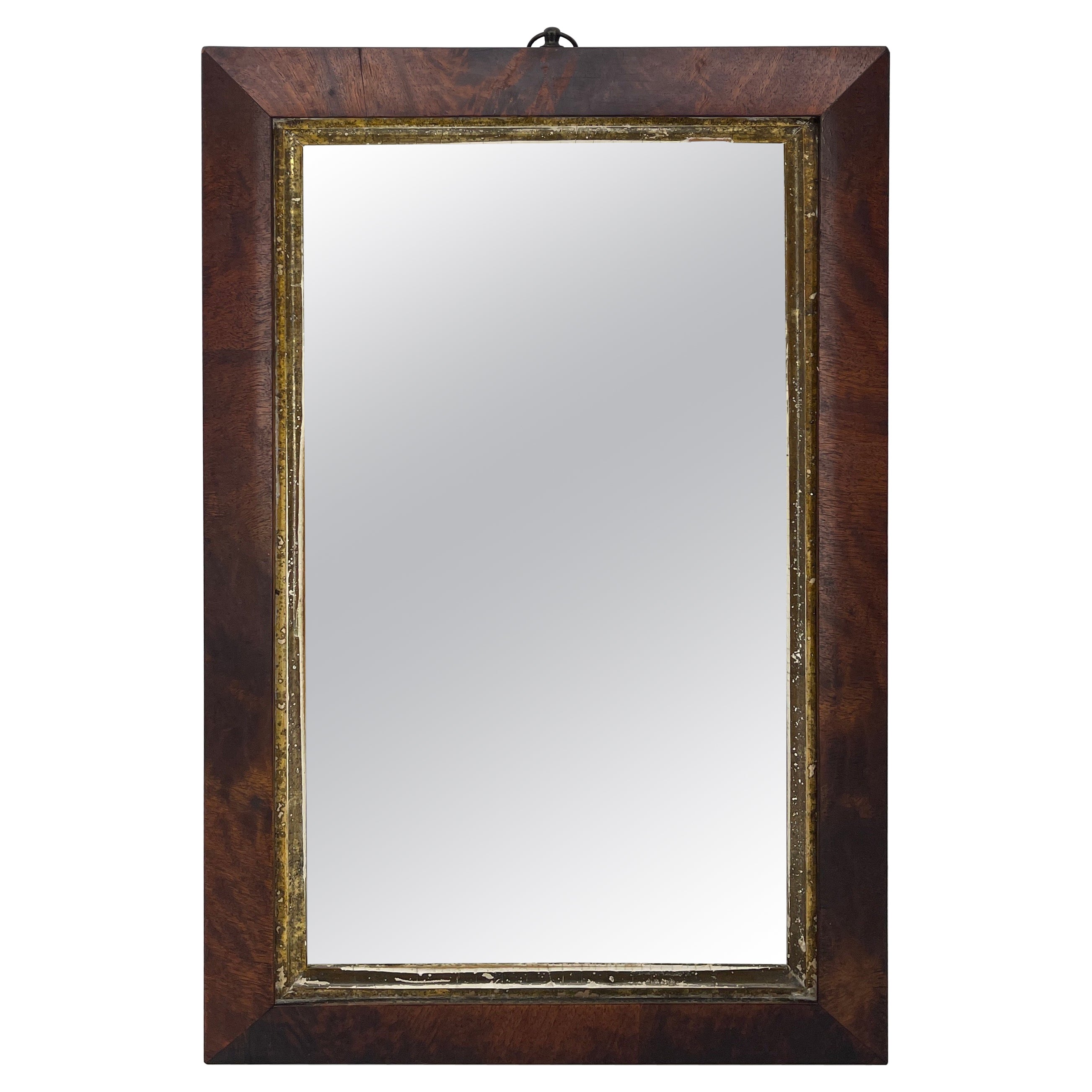 Small English Rectangular Mahogany and Gilt Wall Mirror, Scandinavian