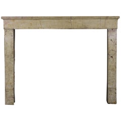 Small European Antique Fireplace Surround in Bicolor Stone Creation by Nature