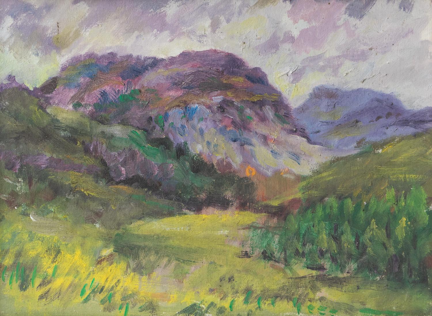 ÖLGEMÄLDE AUS DER MITTE DES JAHRHUNDERTS, DAS EINE LÄNDLICHE SZENE DARSTELLT, AUF KARTON

Eine lockere und skizzenhafte Darstellung einer Berglandschaft mit violetten Hügeln im Hintergrund hinter einer üppigen grün-gelben Wiese.

Das Gemälde ist