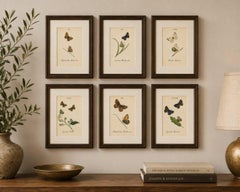 Small-Format Butterfly Engravings with Botanical Studies, 1835