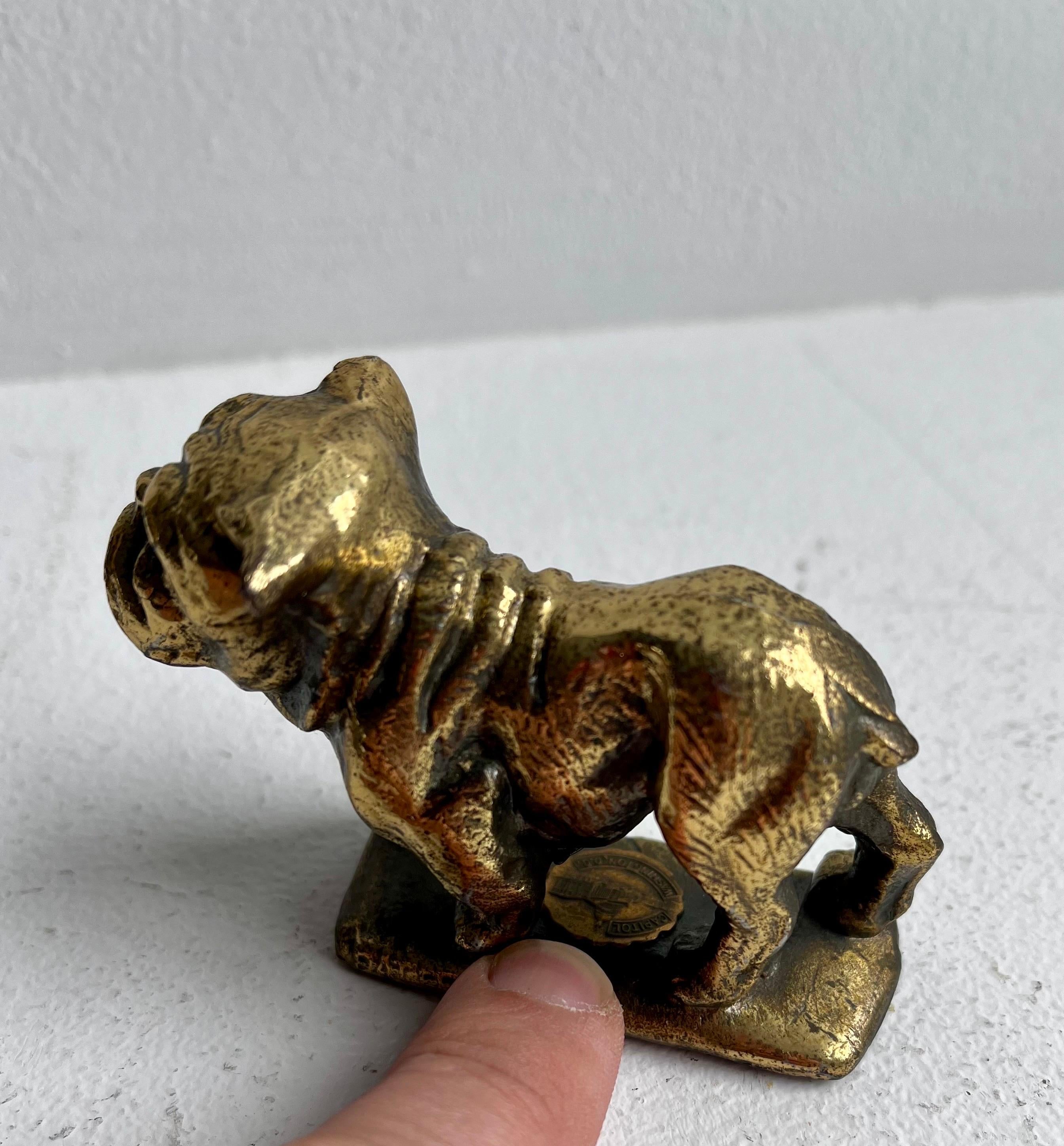 Statua o fermacarte di bulldog 