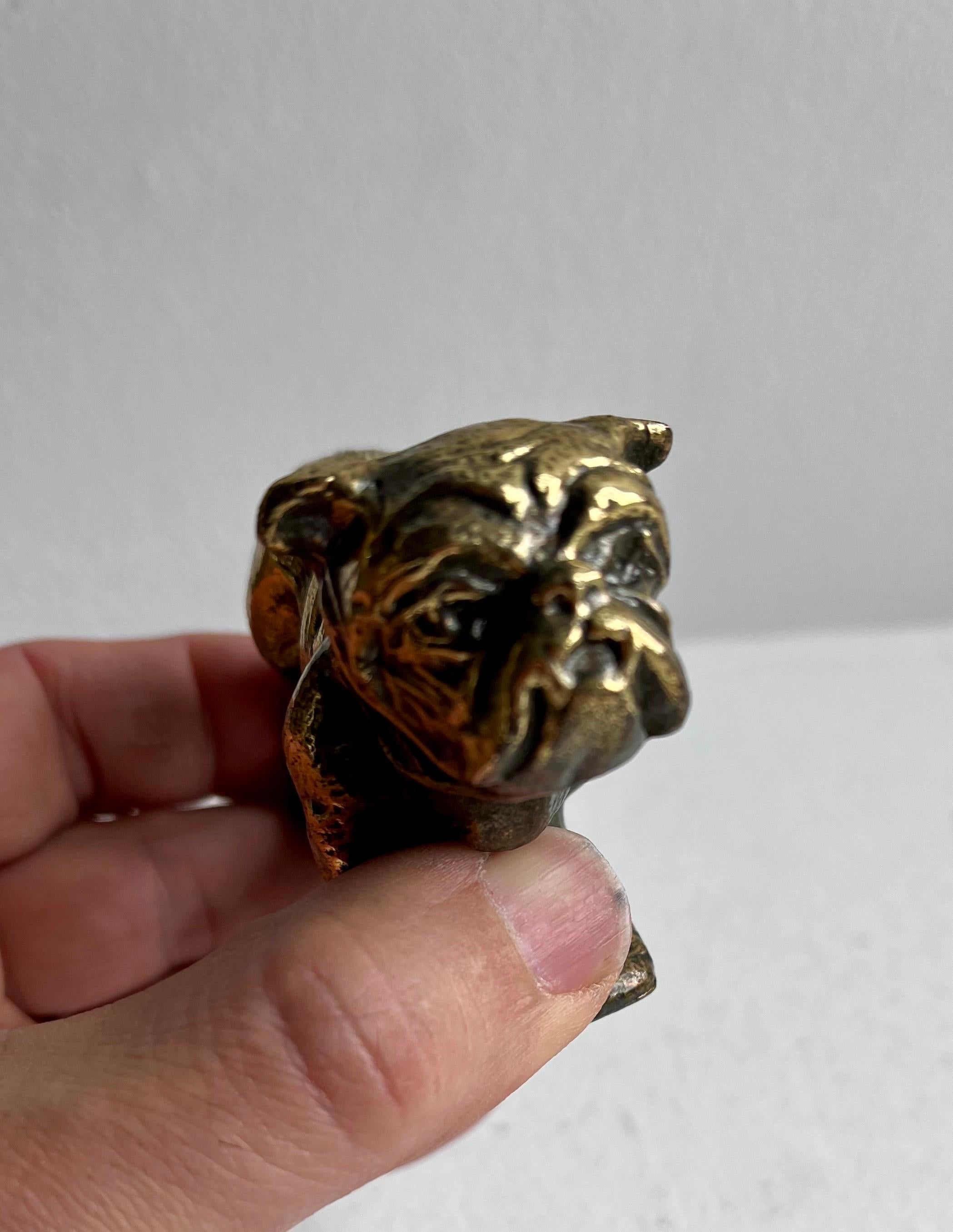 Metallo Statua o fermacarte di bulldog 