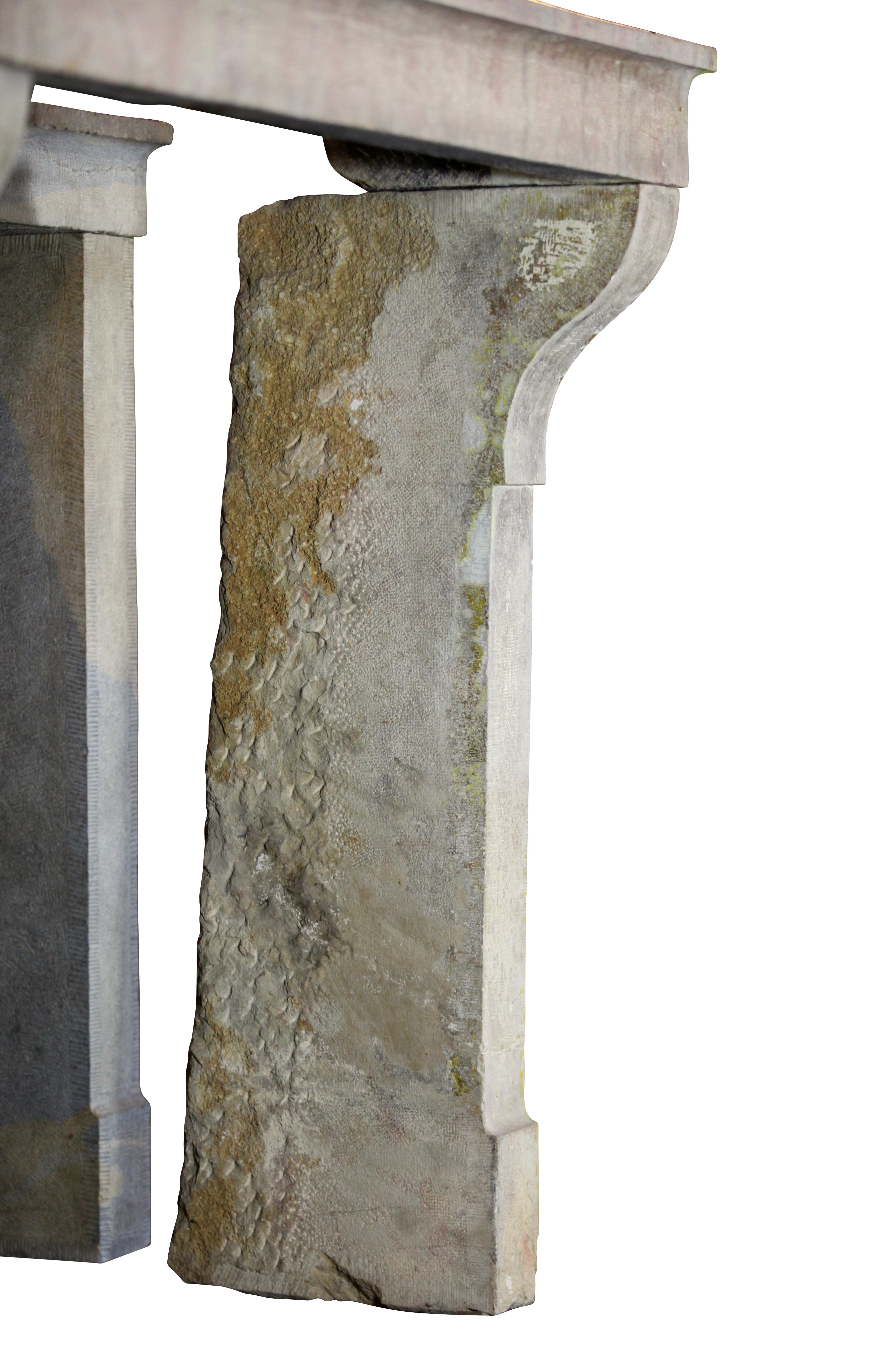 Small French Country Vintage Fireplace Surround in Multi-Color Limestone For Sale 3