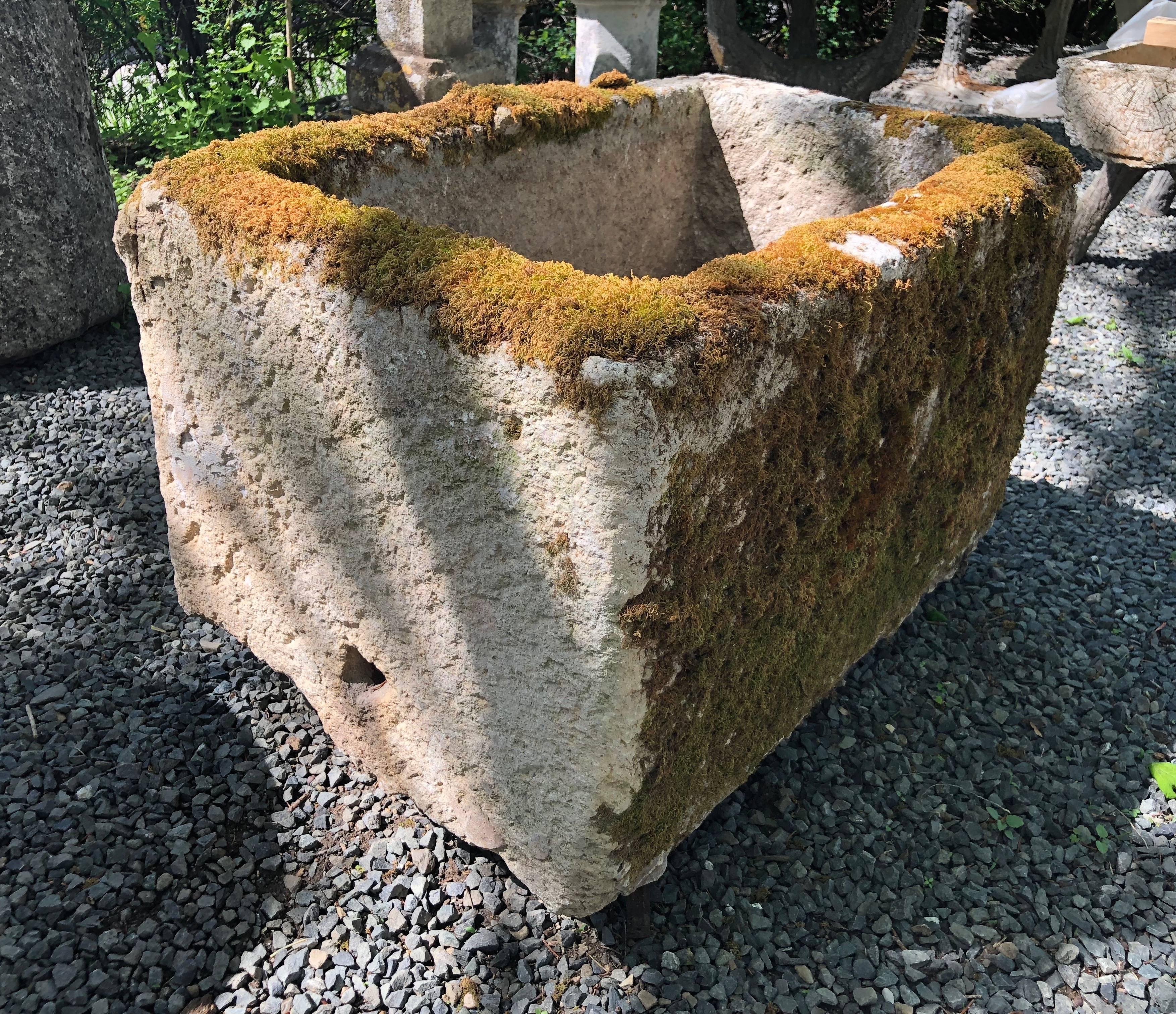 This little beauty was hand-carved from limestone at the turn of the 18th century and has the most gorgeous moss on two sides and the top rim. We are in the process of revitalizing the moss with daily soaking so it should be good and green in the