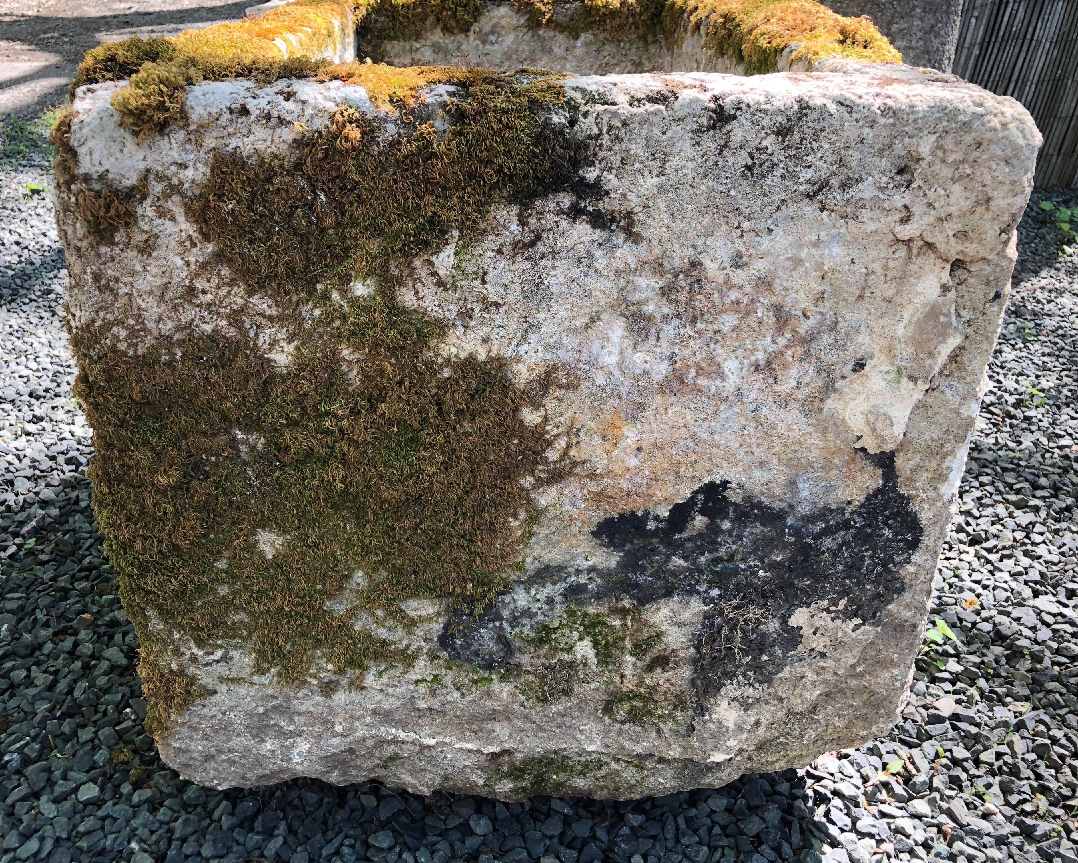 Small French Mossy Hand-Carved Limestone Trough In Good Condition In Woodbury, CT