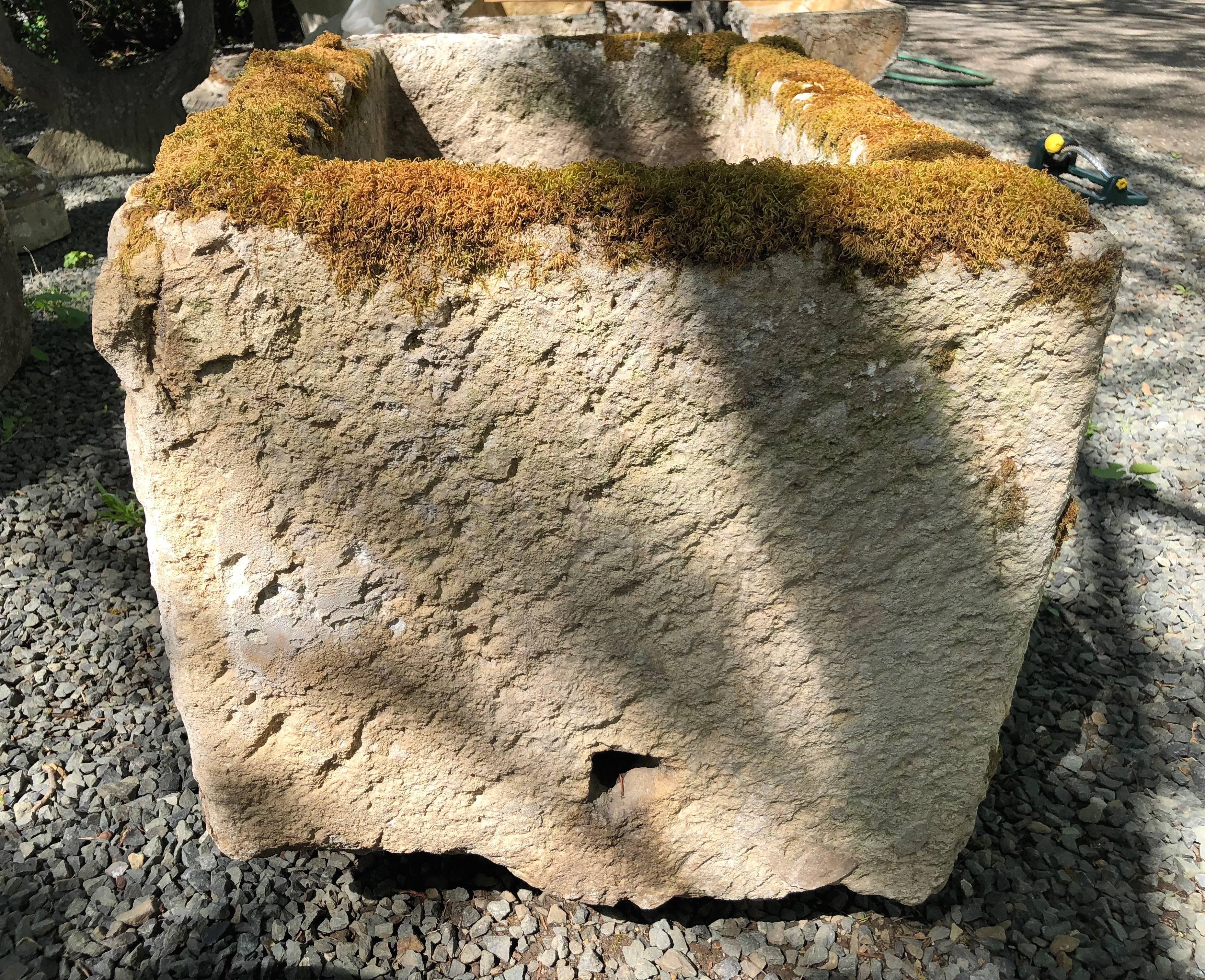 Small French Mossy Hand-Carved Limestone Trough 1