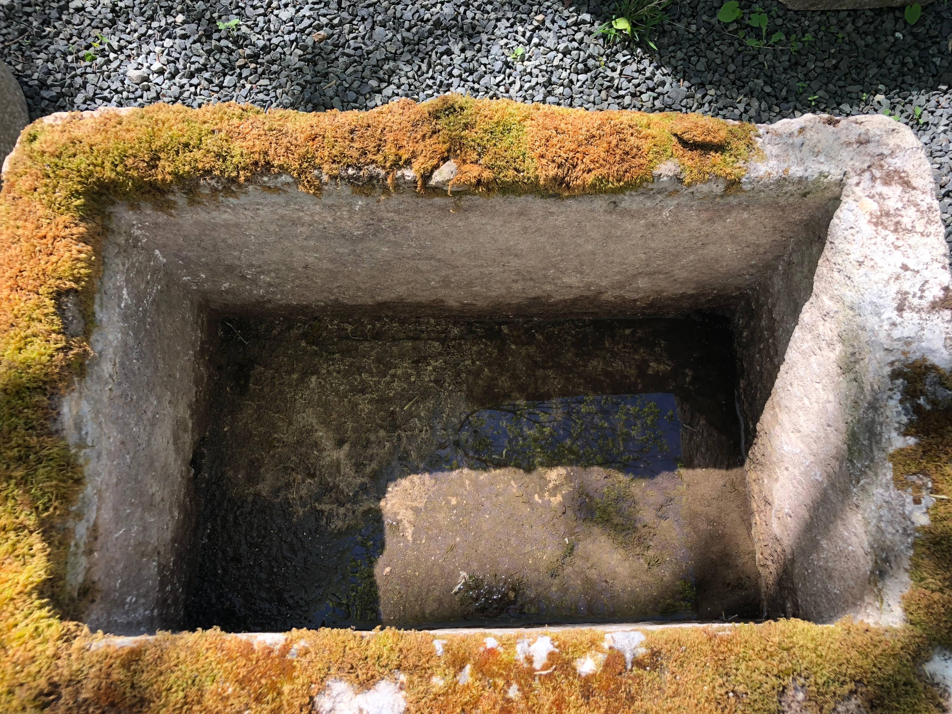 Small French Mossy Hand-Carved Limestone Trough 2