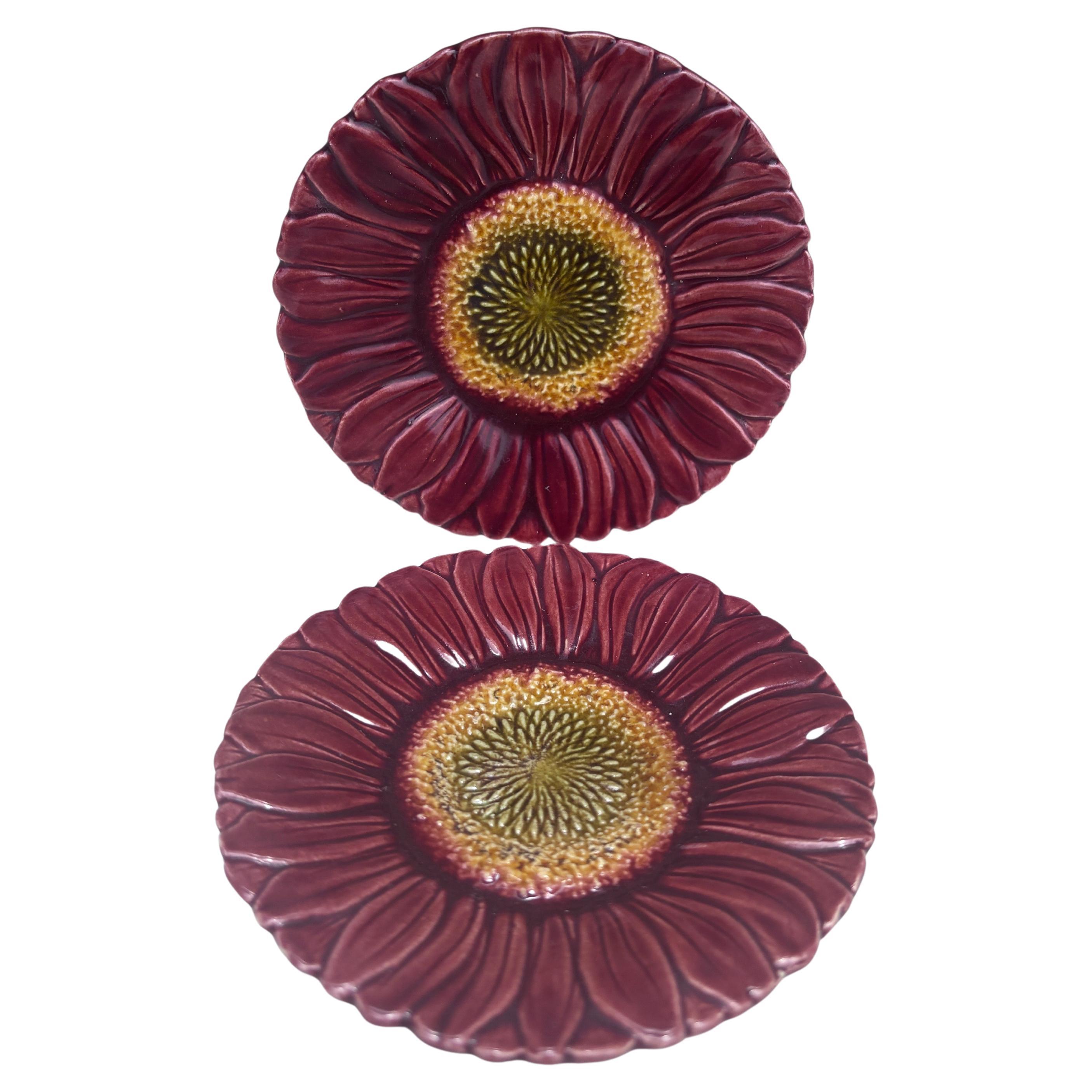 Tedesco Small German Majolica Daisy Plate Circa 1900 in vendita