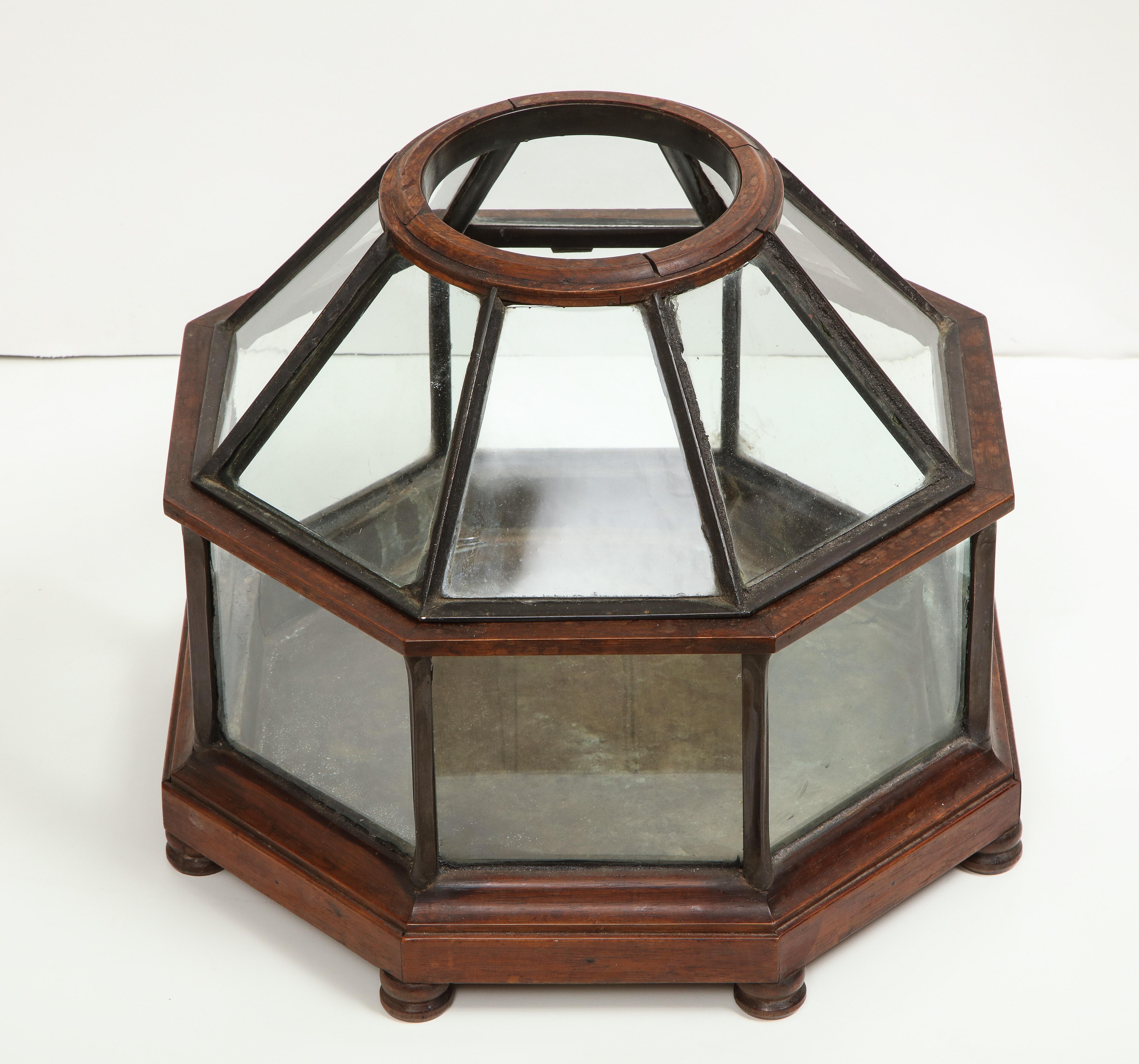 A charming vintage terrarium with mahogany and iron frame in the shape of an octagon. The top of the base is removable for plant placement. This would make a lovely centerpiece, filled with plants or candles.