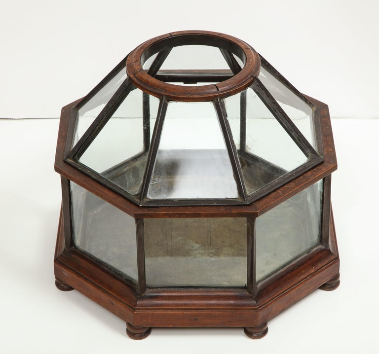 Small Glass Terrarium at 1stDibs