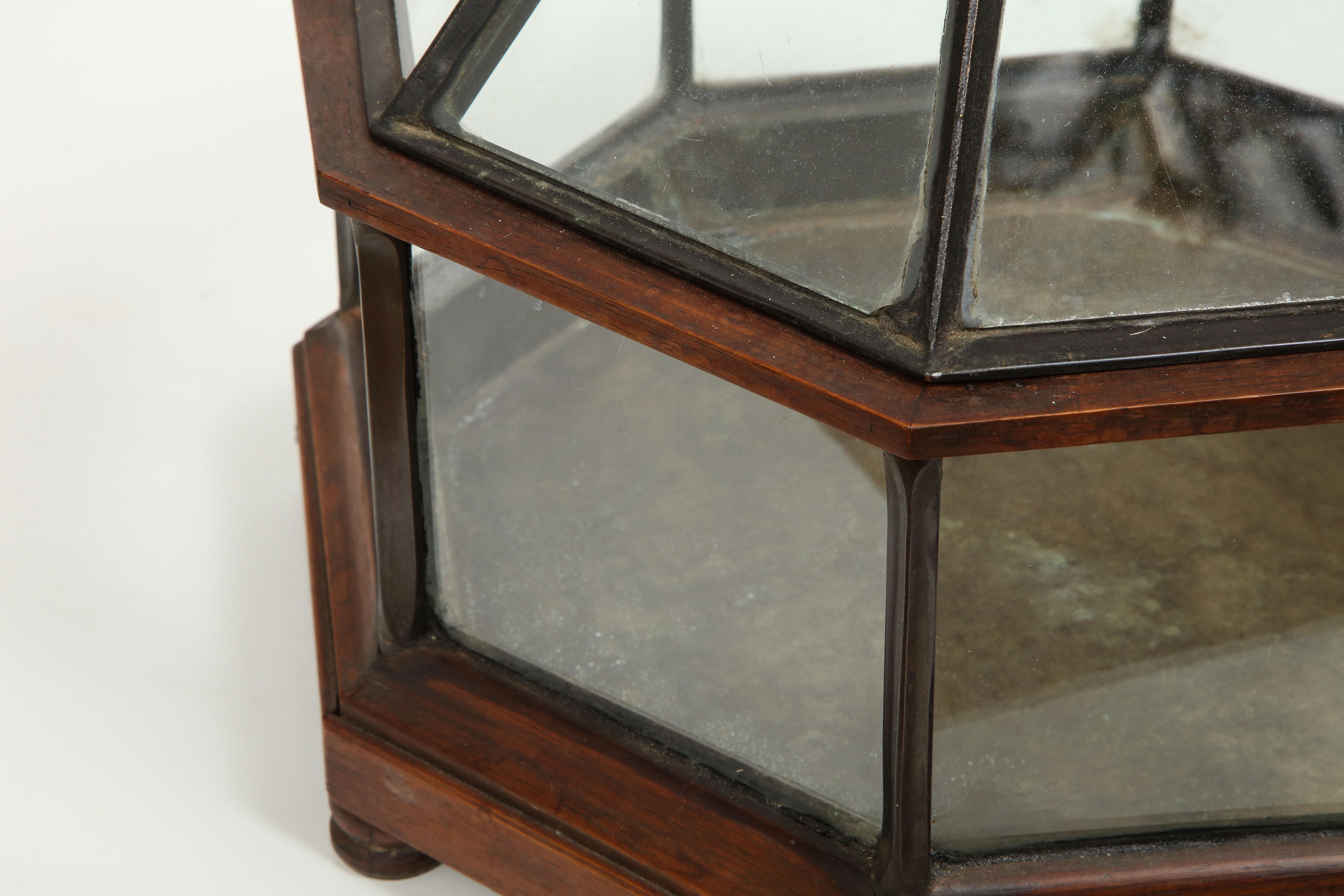 20th Century Small Glass Terrarium