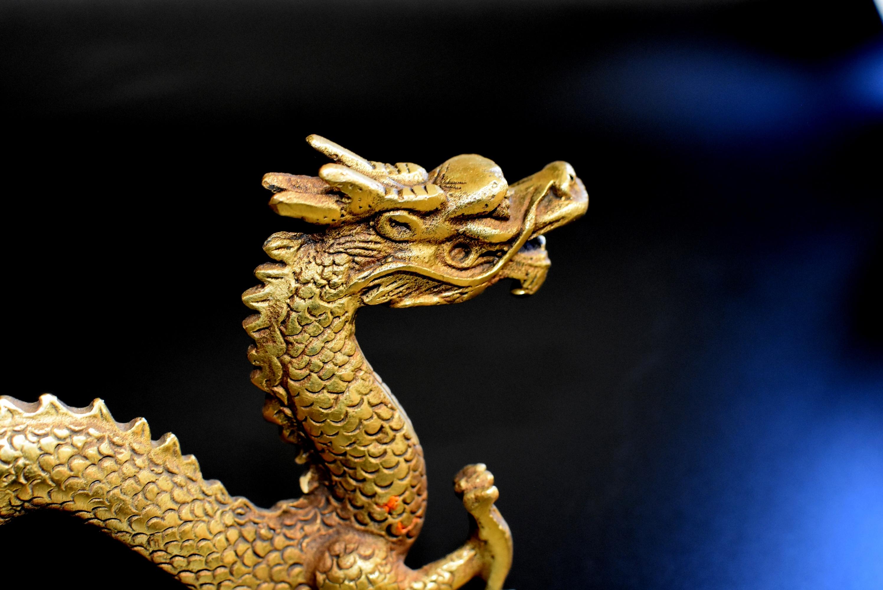 Small Gold Bronze Dragon 2