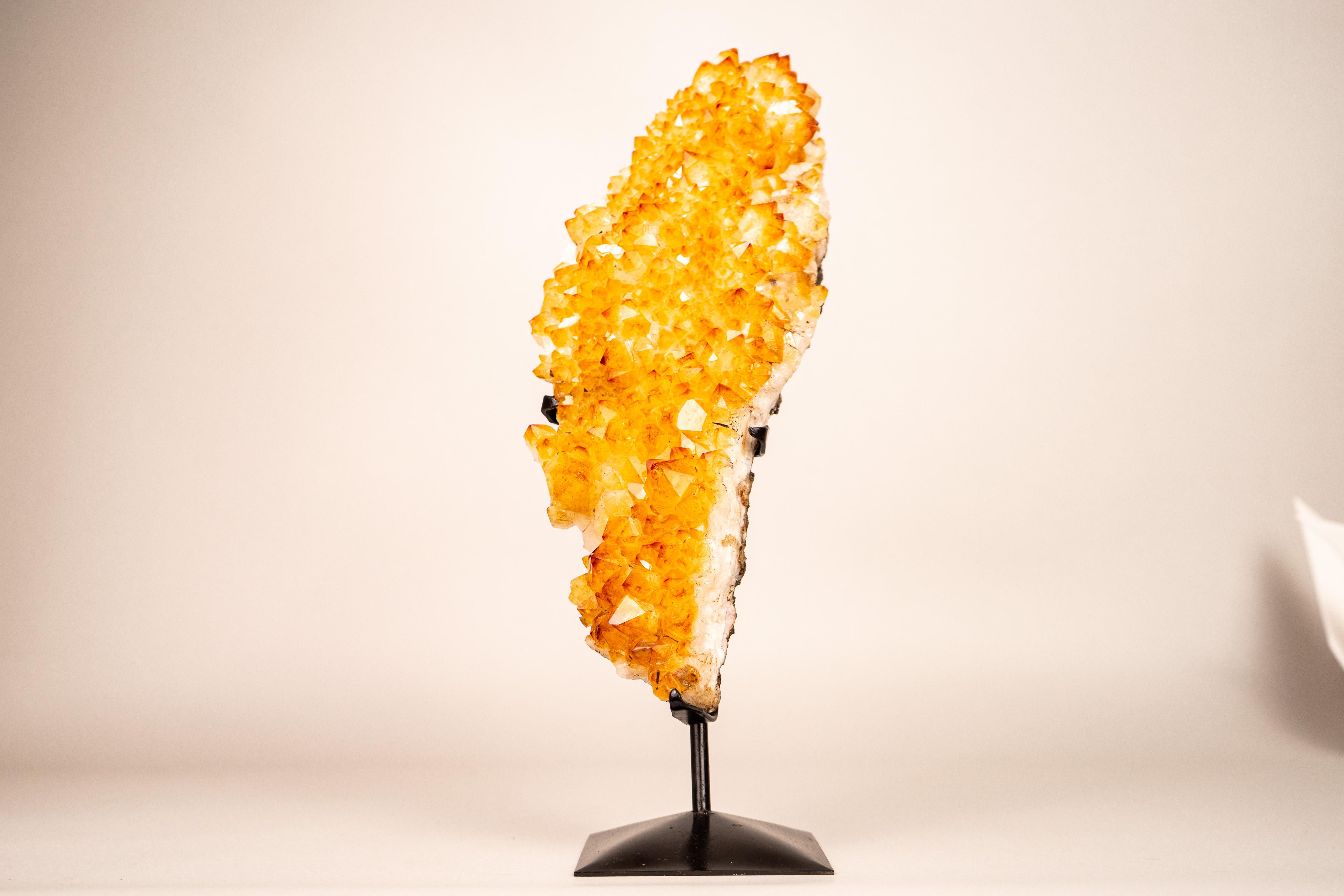 Piccolo cluster di citrino giallo oro con rosette delicate su supporto in vendita 6