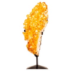Small Golden Yellow Citrine Cluster with Delicate Rosettes on Stand