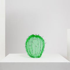 Small Green Cactus with Black Plugs in Wire Mesh by Benedetta Mori Ubaldini