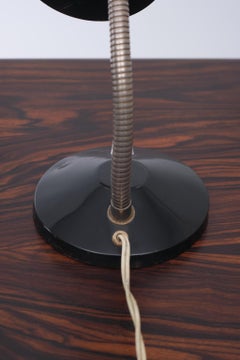 Small Hala Zeist Desk Lamp Holland, 1950s