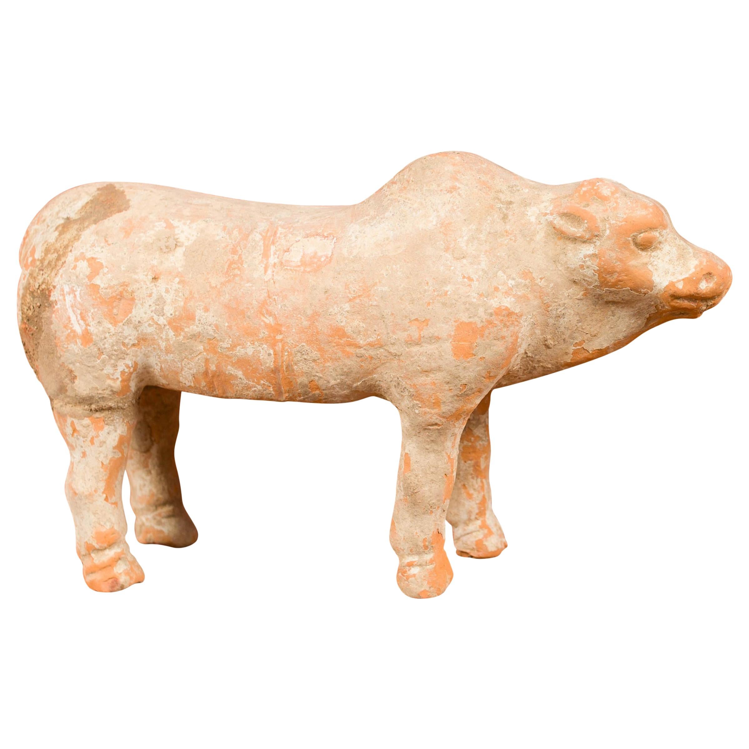 Small Han Dynasty Terracotta Brahman Cattle Mingqi, circa 202 BC-200 AD
