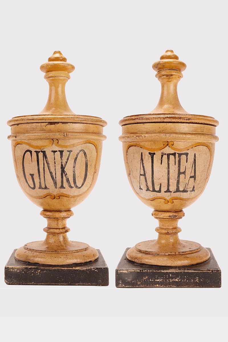 Set of two small wooden herbalist's apothecary vases (Althaea flowers, Ginko leaves) in the purest neoclassical style. The surface is finished with cream-white pastiglia with saffron-colored cartouche and gold-decorated trim, the names of the herbs