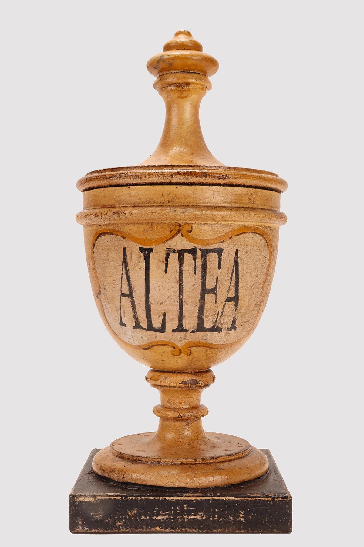 Italian Small herbalist pharmacy wooden jars, Italy 1870. For Sale