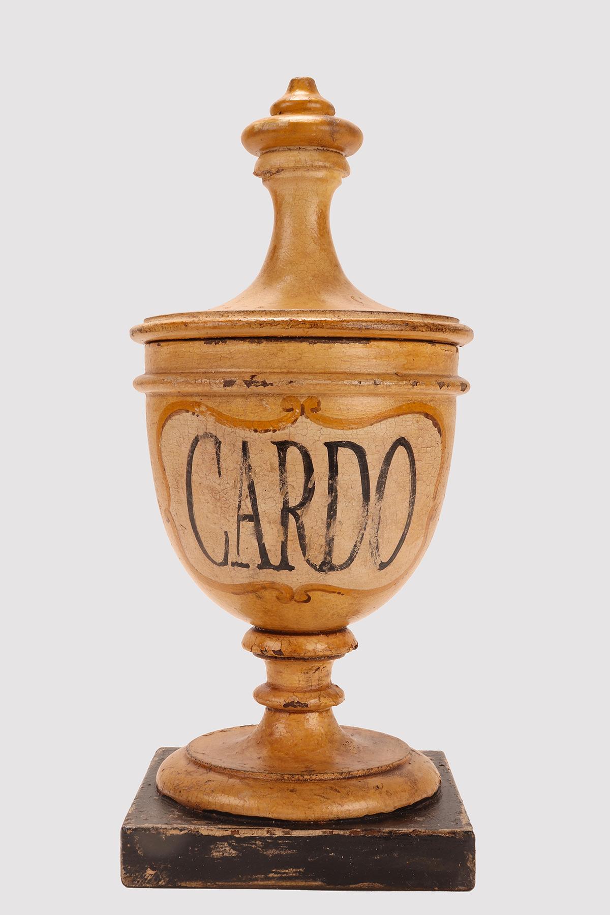 Wood Small herbalist pharmacy wooden jars, Italy 1870. For Sale
