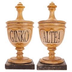 Piccoli vasi di legno da farmacia per erboristeria, Italia 1870.