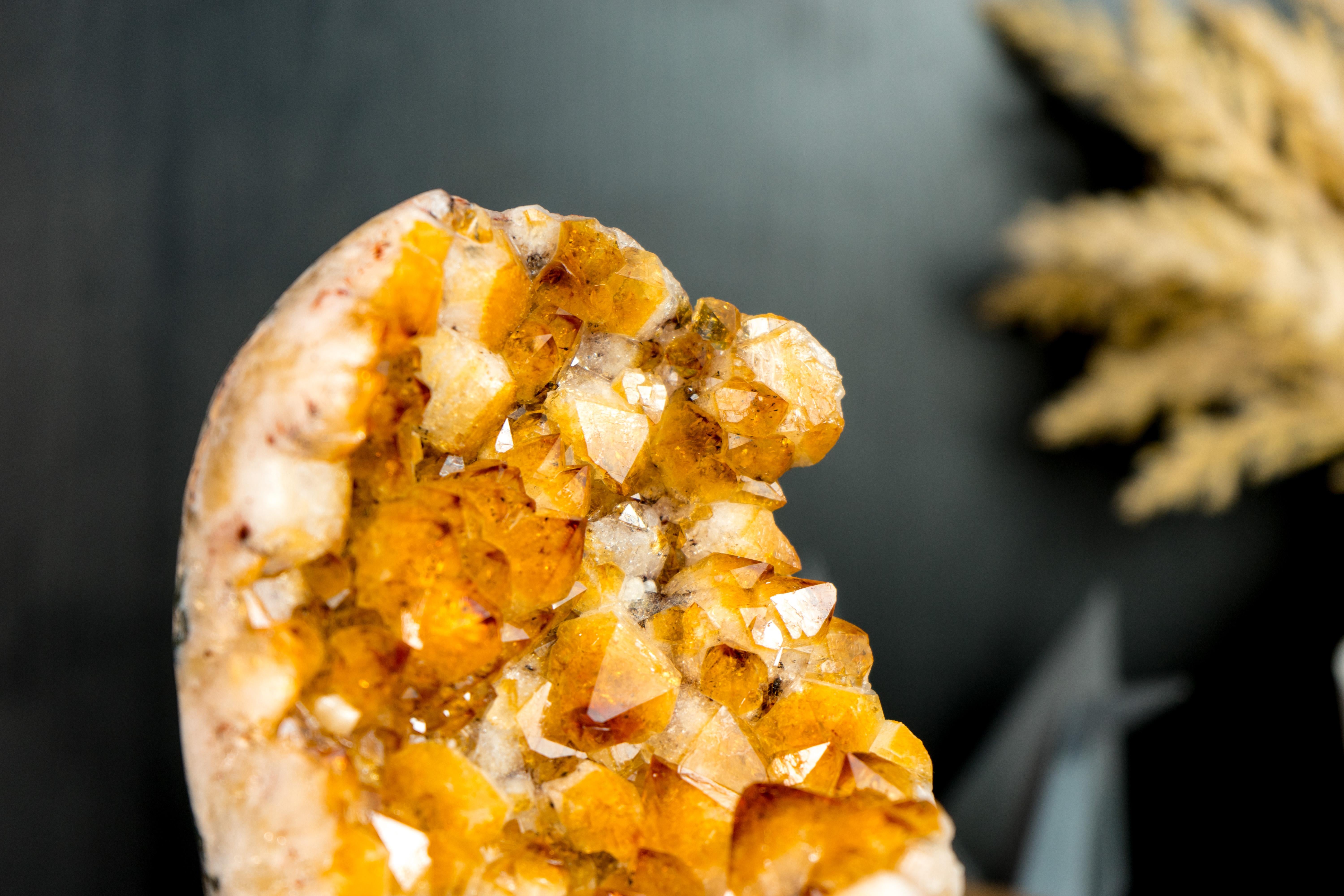 Une petite, mais magnifique grappe de citrine apportant une couleur orange intense, une belle esthétique qui met en valeur les formations naturelles de fleurs, et des pointes druzy intactes et parfaites. Doté d'abondantes propriétés énergétiques,