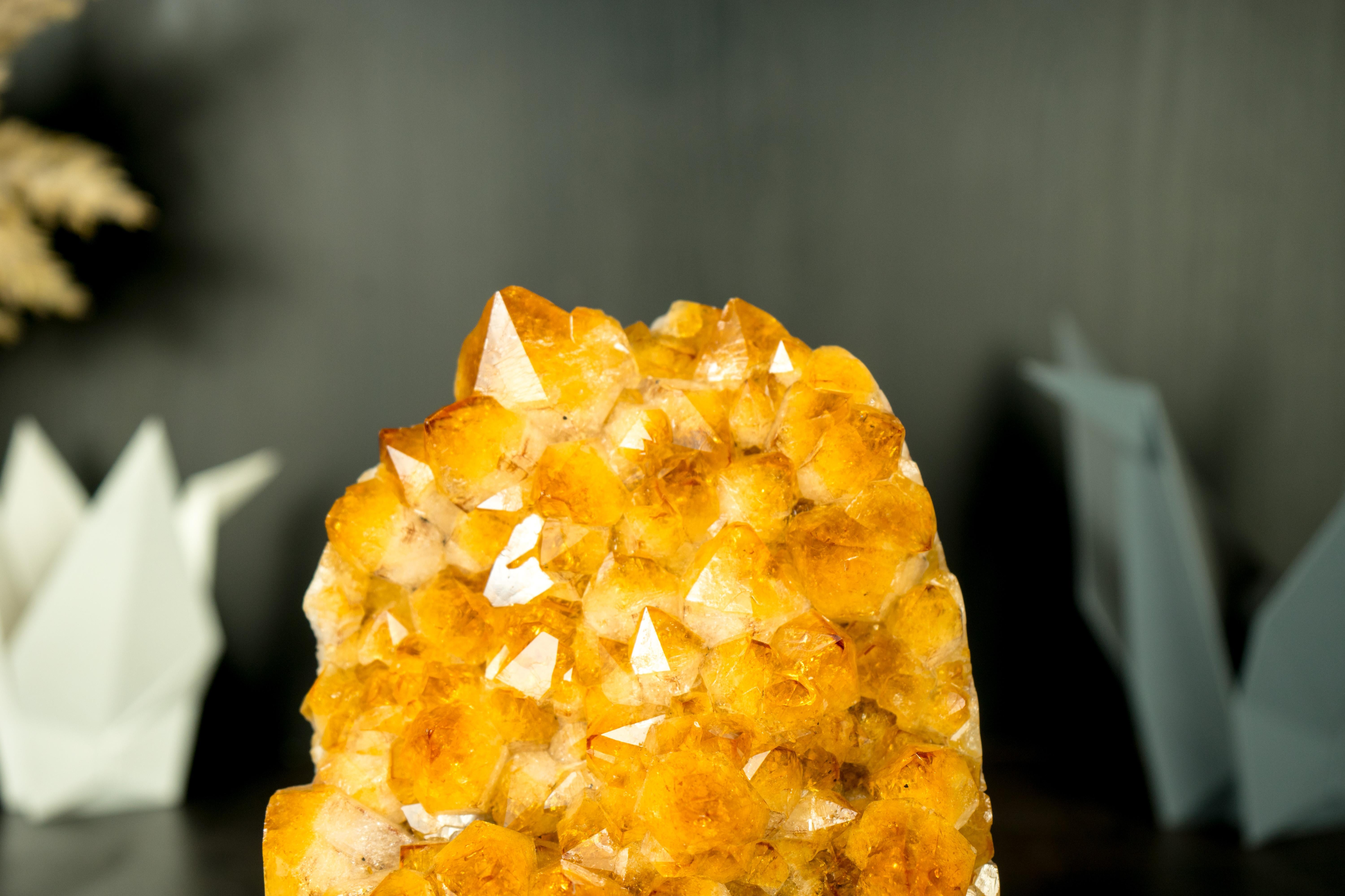 Golden Sparkles: A Small, High Grade Golden Yellow Citrine Cluster

▫️ Description

A small yet impressive Citrine cluster, this specimen captures attention at first sight. With gorgeous aesthetics that mix shiny Golden Yellow Citrine druzy in a